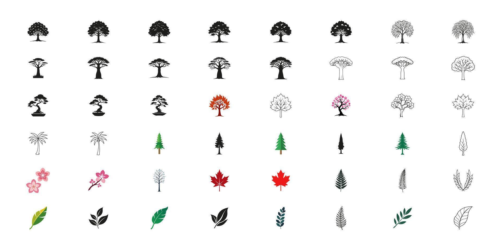 Botanical Illustration Collection Trees Flowers and Leaves vector