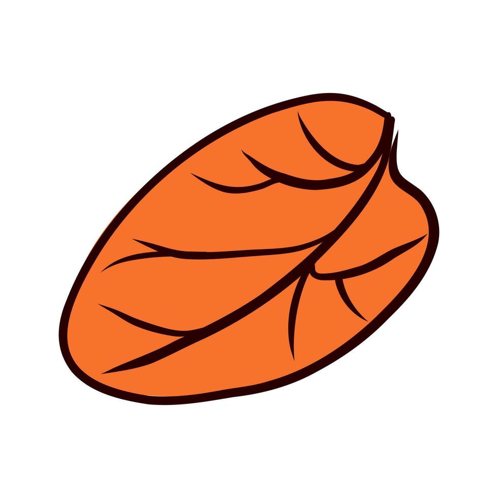 Coffee orange leaf in flat design. Abstract arabica plant for beverage. illustration isolated. vector