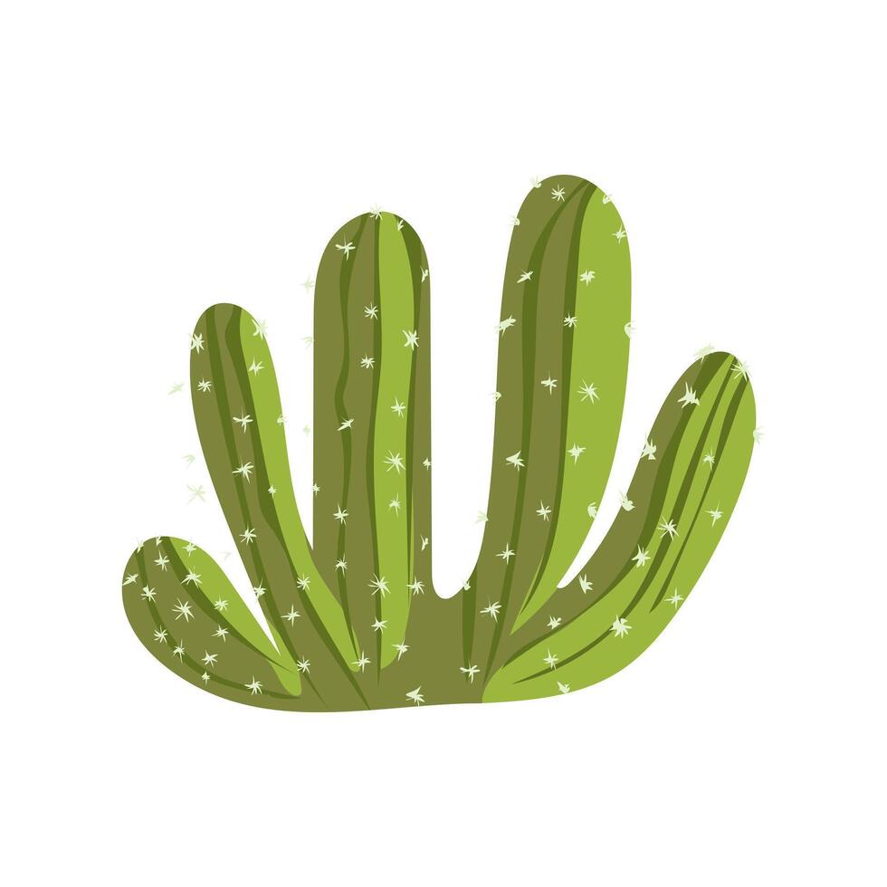Desert cactus in flat design. Succulent with spikes and small flowers. illustration isolated. vector