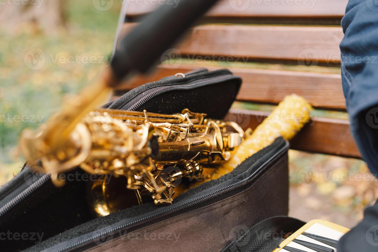 A saxophonist performs in a serene park during autumn while seated on a bench photo