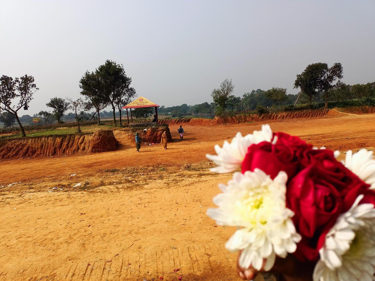 A person holding a bouquet of flowers photo