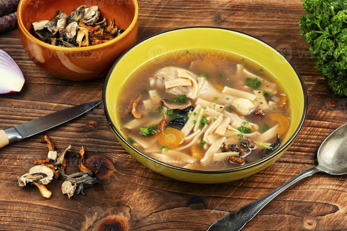 Chicken noodle soup with parsley and vegetables. photo