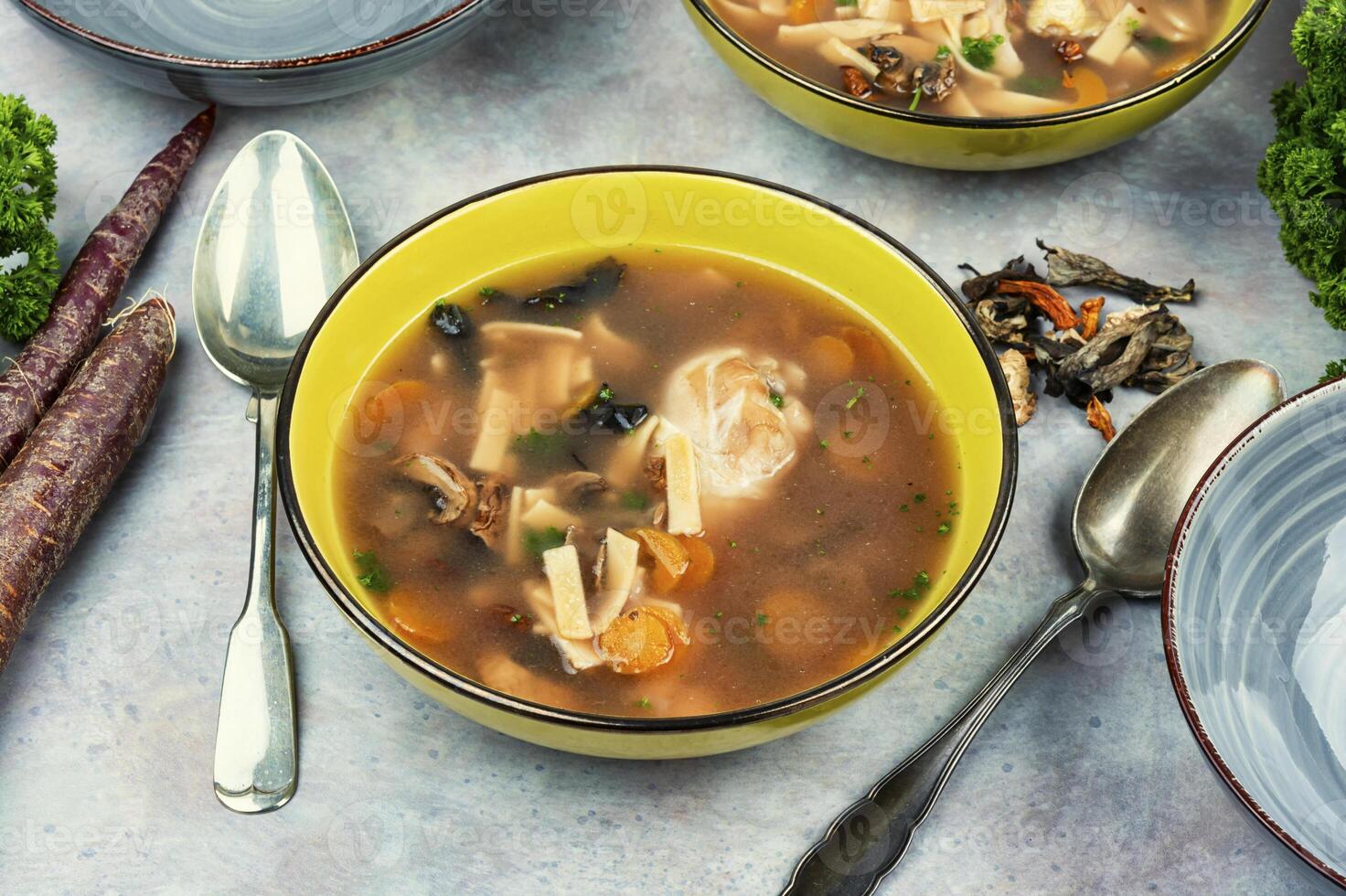 Dish of chicken soup. photo