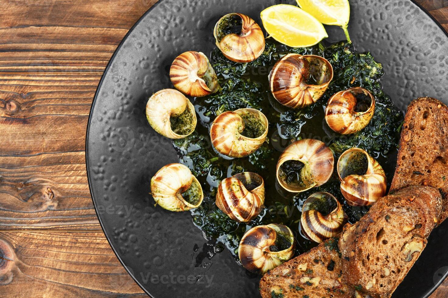 Dish of snails in spicy sauce, Spanish food. photo