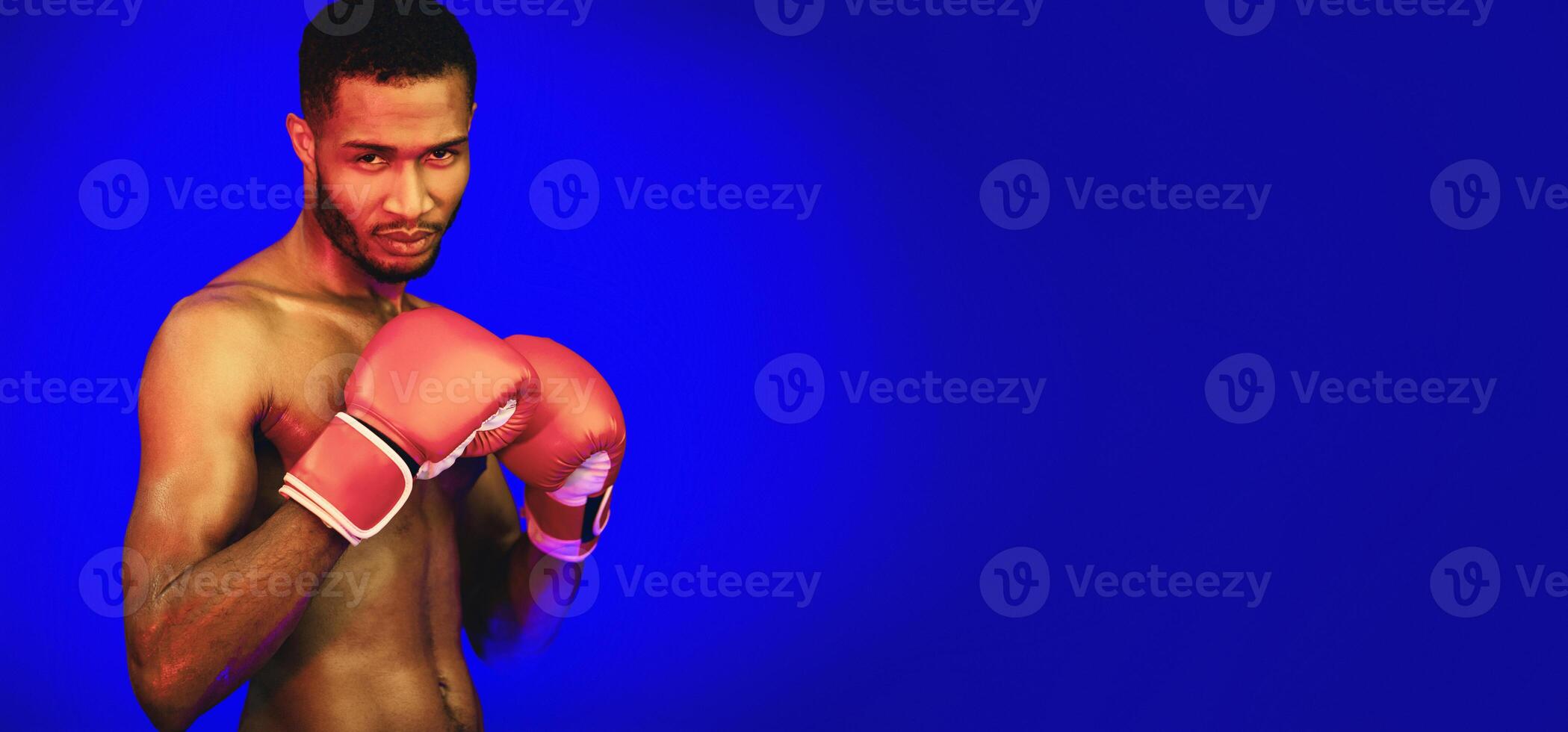 Shirtless Boxer In Boxing Gloves Standing In Ready-To-Fight Position Posing Looking At Camera On Blue Studio Background With Red Lights photo