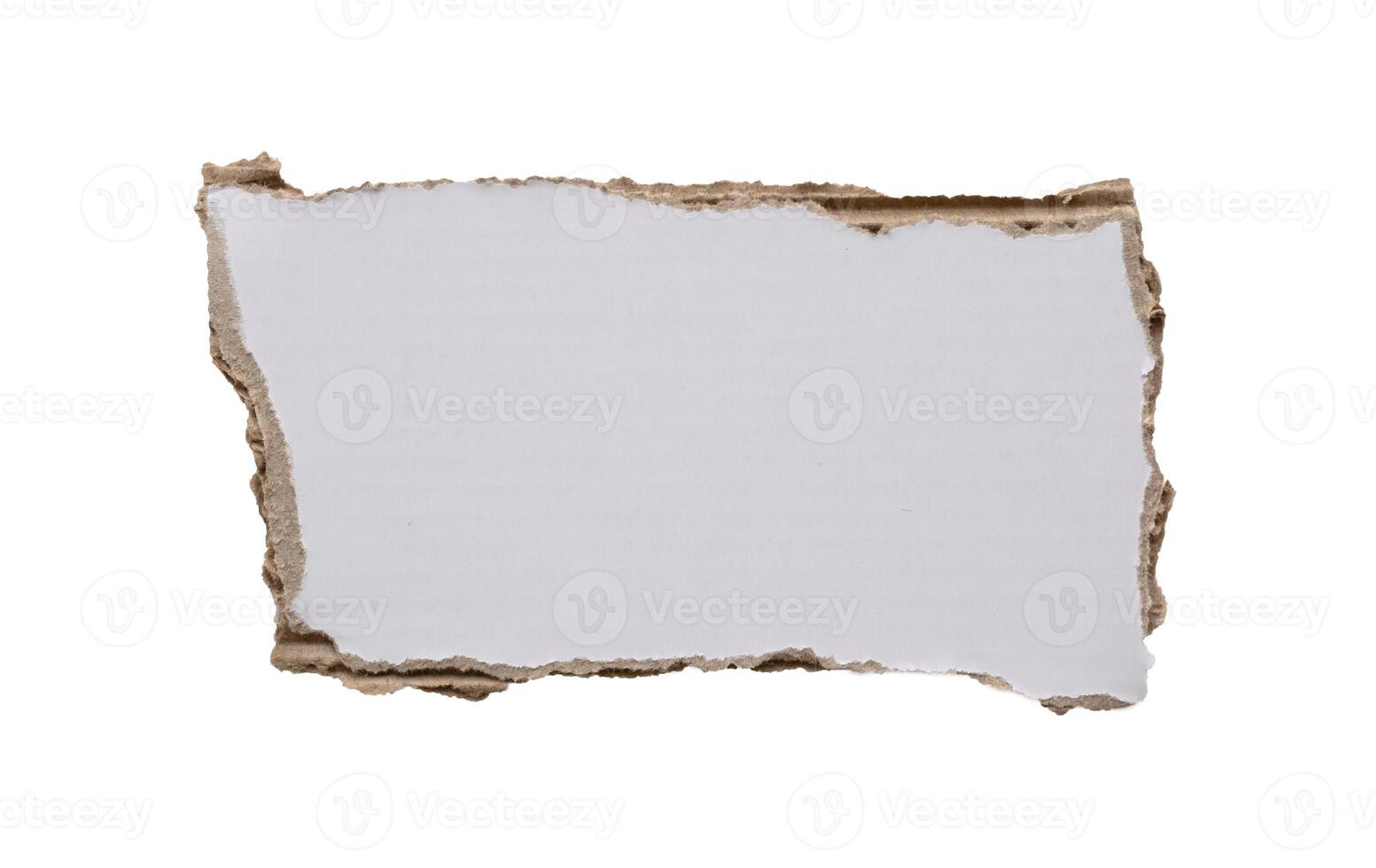 piece of white paper tear isolated on white background photo