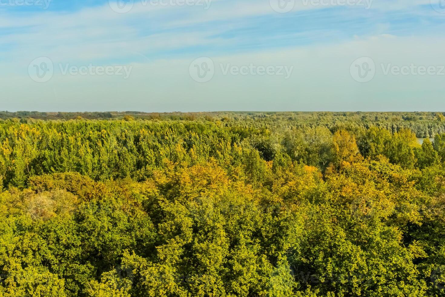 Agricultural fields with young green shoots of grain crops and plowed field without sowing. With trees in the background on the hills. Fallow concept. Alternation. photo