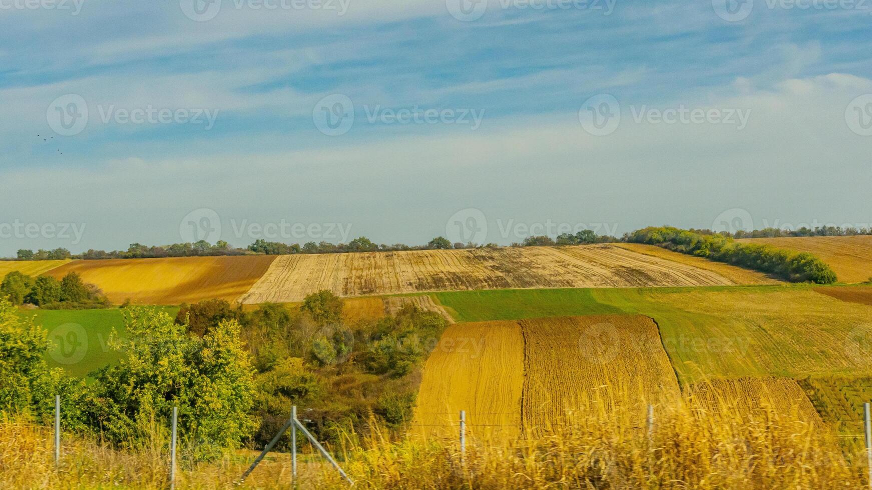 Agricultural fields with young green shoots of grain crops and plowed field without sowing. With trees in the background on the hills. Fallow concept. Alternation. photo