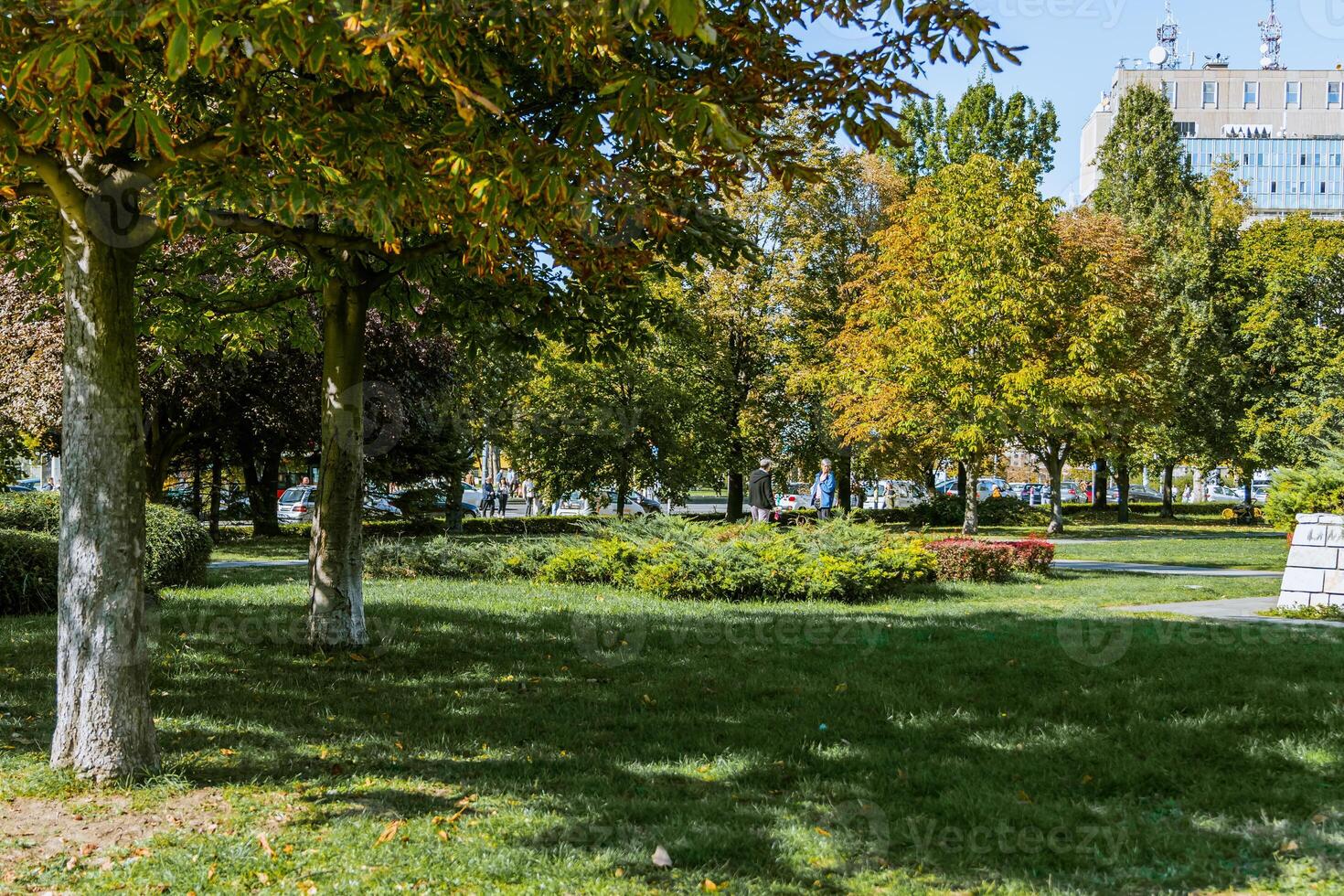 Tranquil wooden bench along the path of a city park. Grove of mature deciduous trees with green lawn make it a magical place to rest. photo