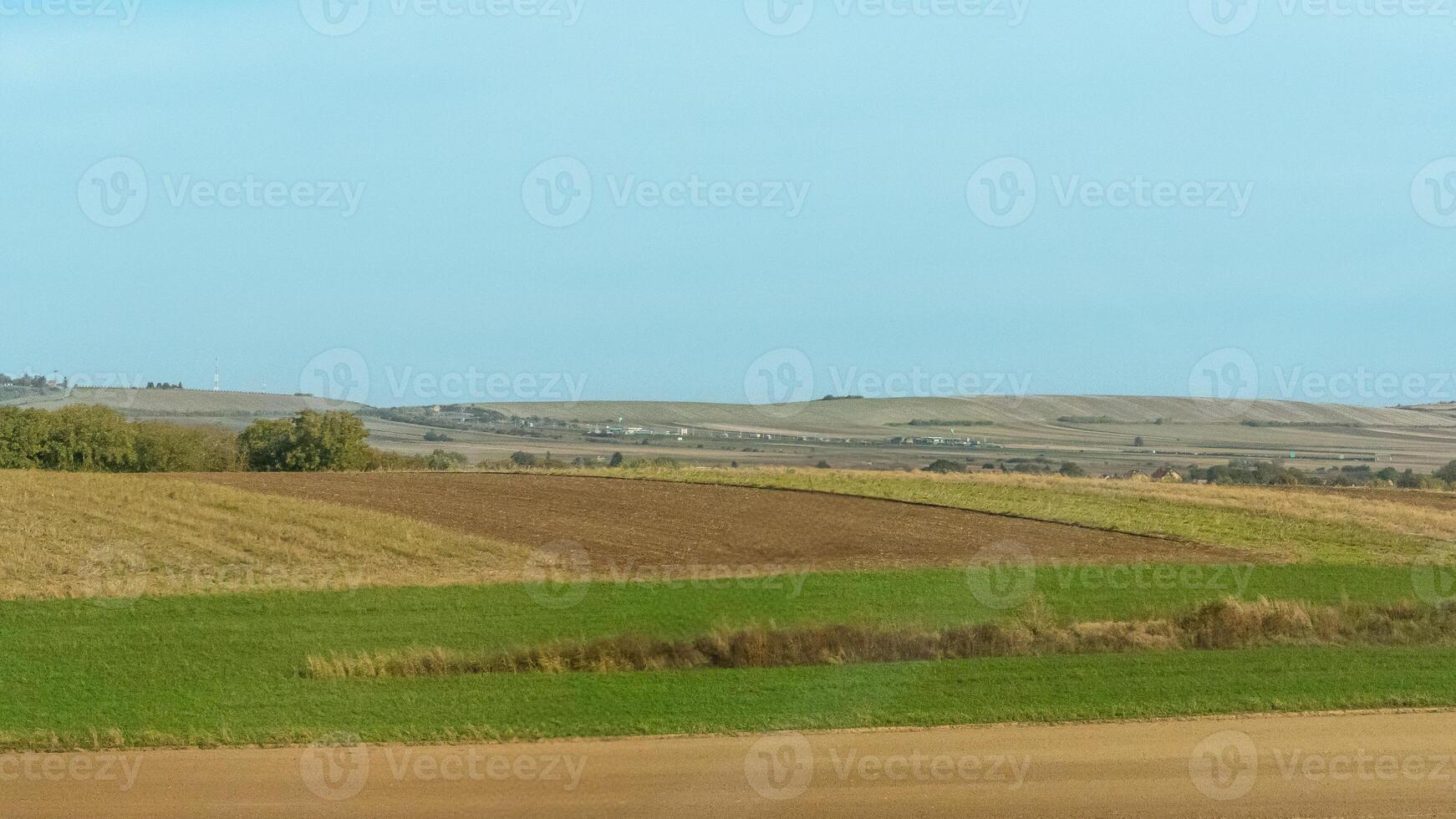 Agricultural fields with young green shoots of grain crops and plowed field without sowing. With trees in the background on the hills. Fallow concept. Alternation. photo
