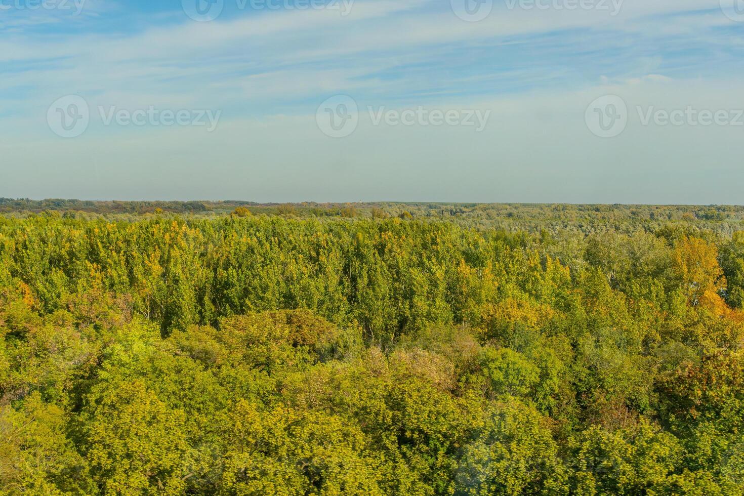 Agricultural fields with young green shoots of grain crops and plowed field without sowing. With trees in the background on the hills. Fallow concept. Alternation. photo
