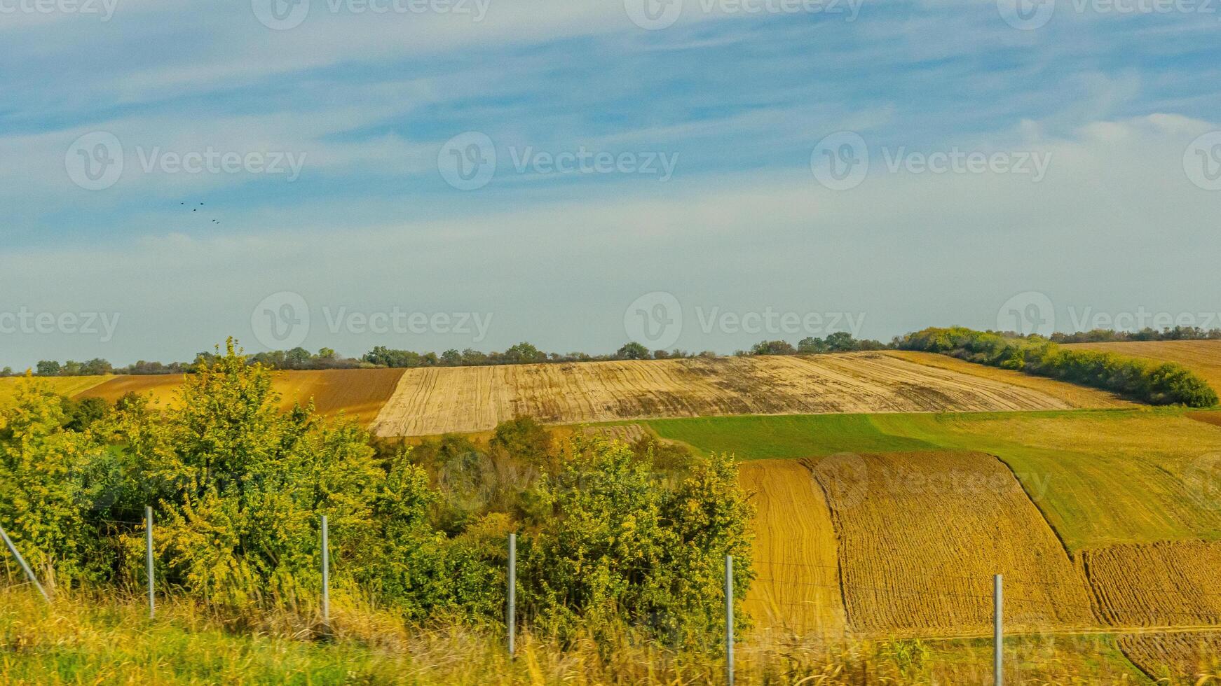 Agricultural fields with young green shoots of grain crops and plowed field without sowing. With trees in the background on the hills. Fallow concept. Alternation. photo