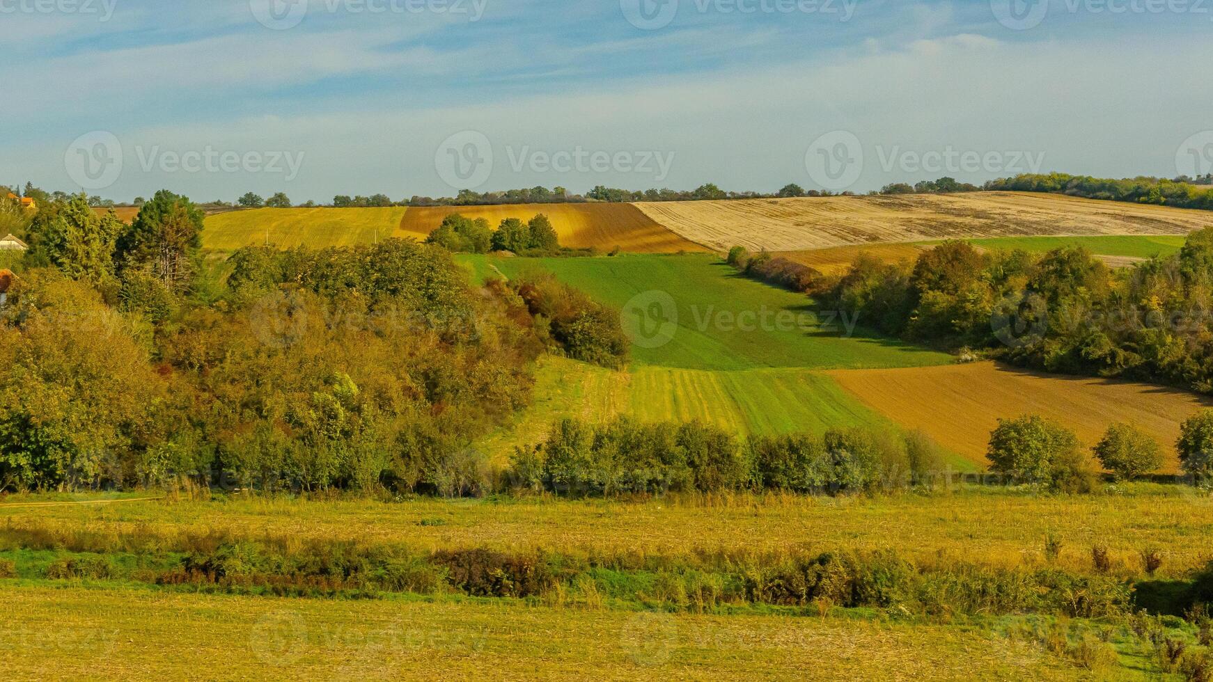 Agricultural fields with young green shoots of grain crops and plowed field without sowing. With trees in the background on the hills. Fallow concept. Alternation. photo