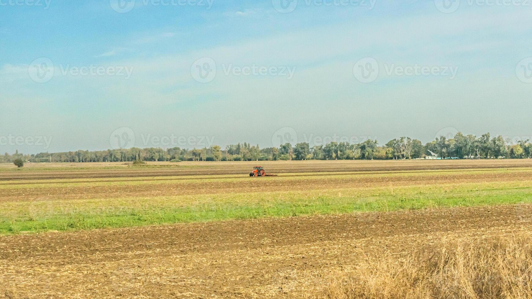 Agricultural fields with young green shoots of grain crops and plowed field without sowing. With trees in the background on the hills. Fallow concept. Alternation. photo