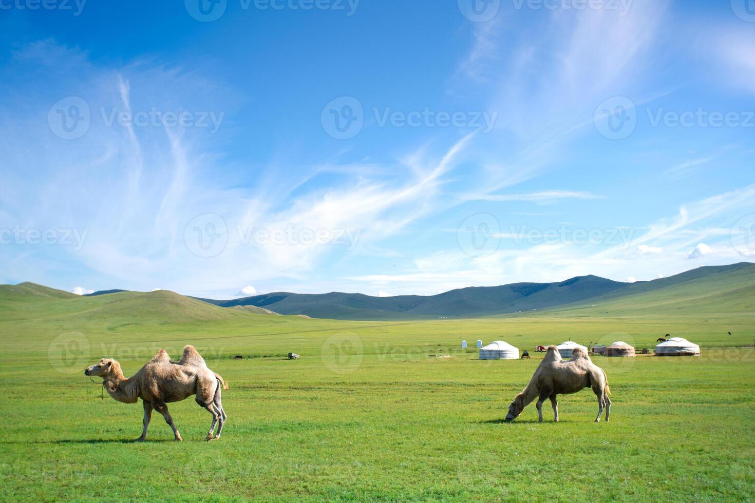 Authentic Mongol Nomad Show, demonstration of a traditional living way of real Mongolian nomads, an attractive for tourists in Mongolia photo