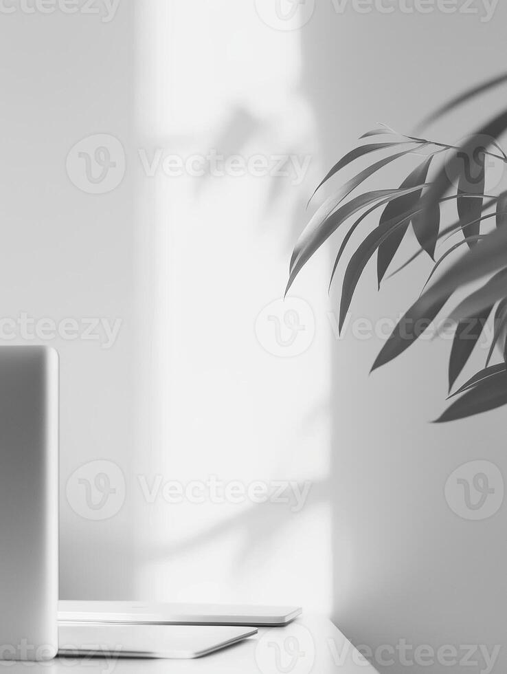 A beautifully serene minimalist setting showcasing a potted plant on the table and soft light gracefully illuminating a white wall photo