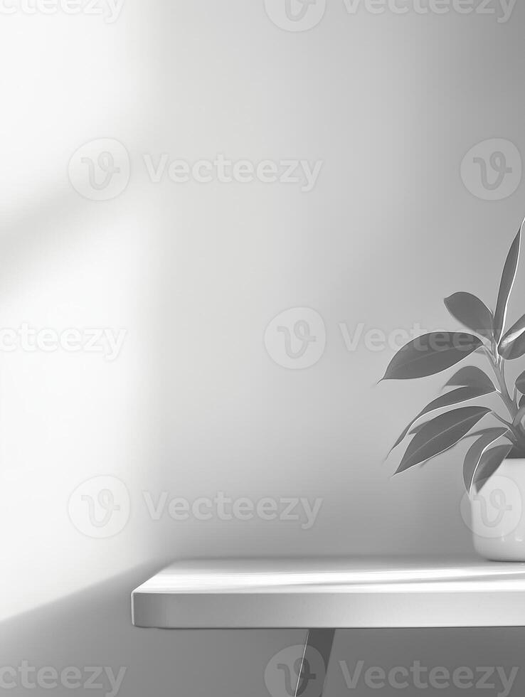 A beautifully serene minimalist setting showcasing a potted plant on the table and soft light gracefully illuminating a white wall photo