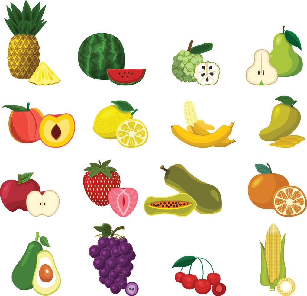 Fruits set Free of different colorful fruits illustration design style. vector