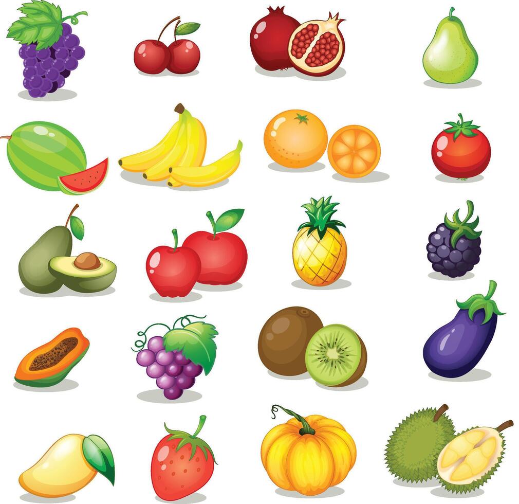 Fruit set Free of colorful fruits illustration. vector