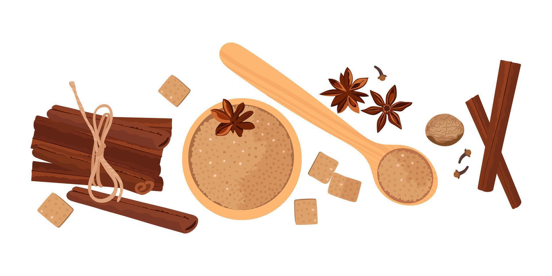 Set with cinnamon, anise stars, brown sugar, clove spice and nutmeg. Spices for baking or hot drinks. Mulled wine spices. vector