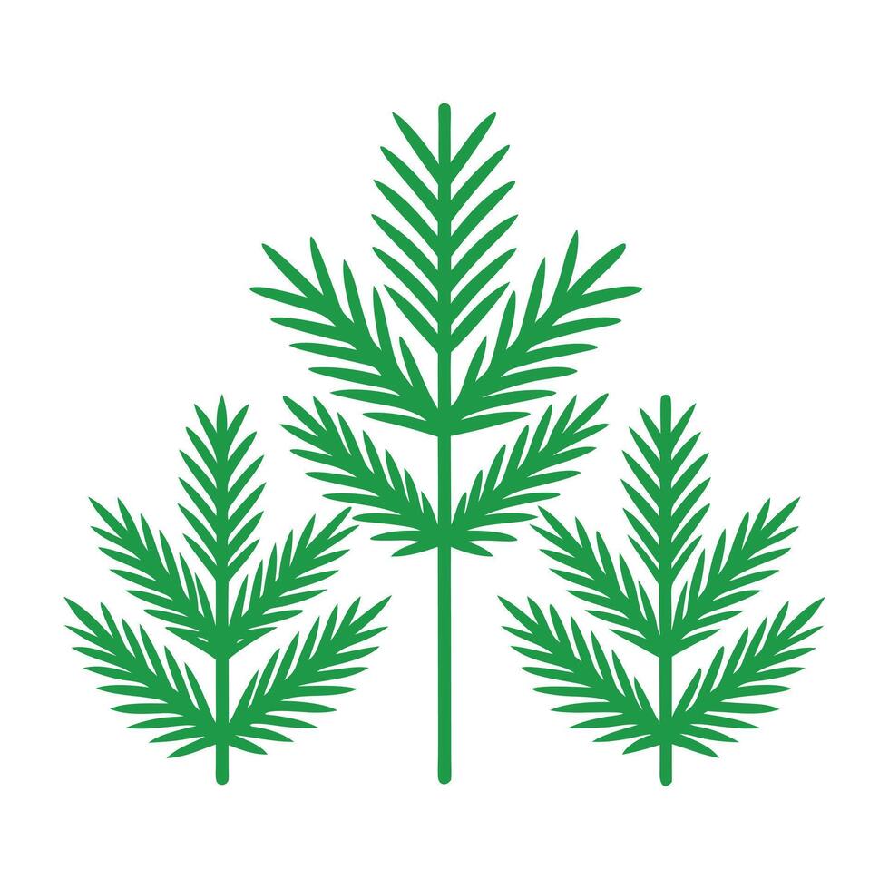 Christmas tree branch icon vector