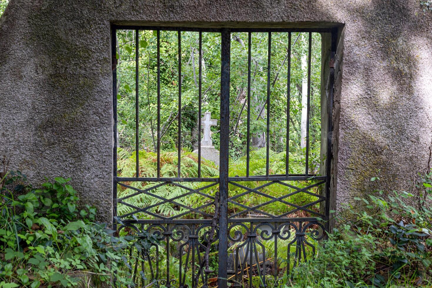 Rustic iron gate revealing a hidden cross among lush greenery, capturing peaceful and spiritual charm photo
