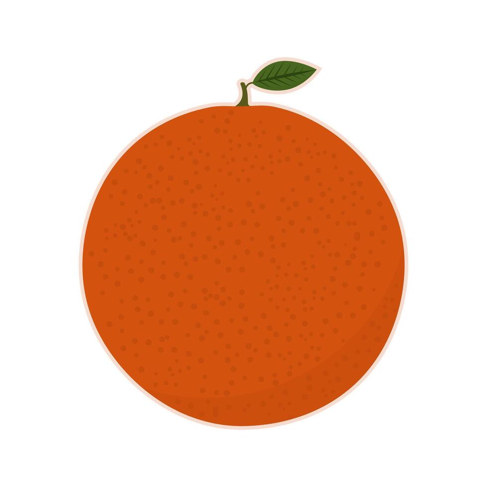 Cartoon orange fruit. illustration. vector