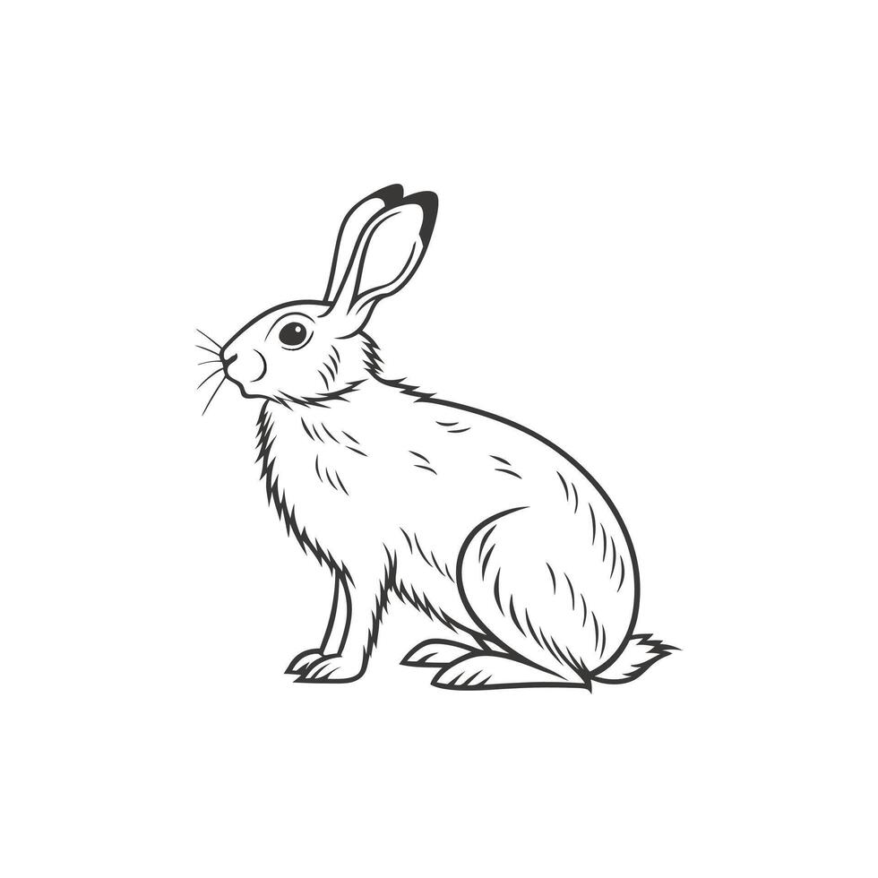 line art rabbit drawing vector