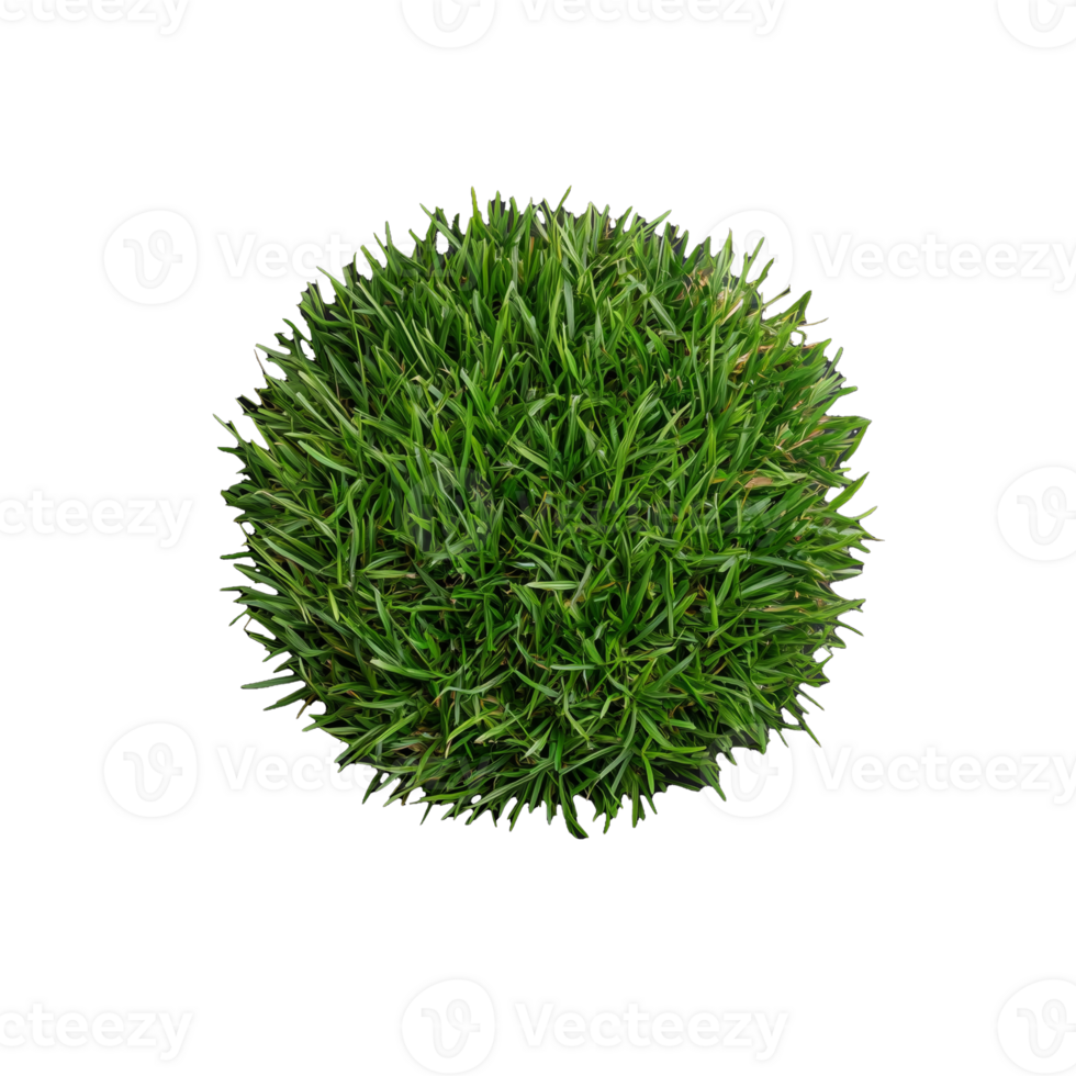 Lush Green Grass Sphere on Transparent Background Display png
