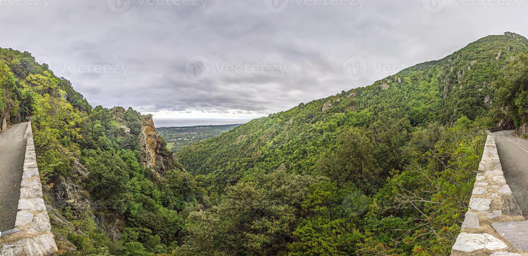 Panoramic view of Corsicas eastern coastline captured from the mountainous inland with lush greenery photo