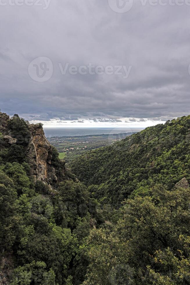 Panoramic view of Corsicas eastern coastline captured from the mountainous inland with lush greenery photo
