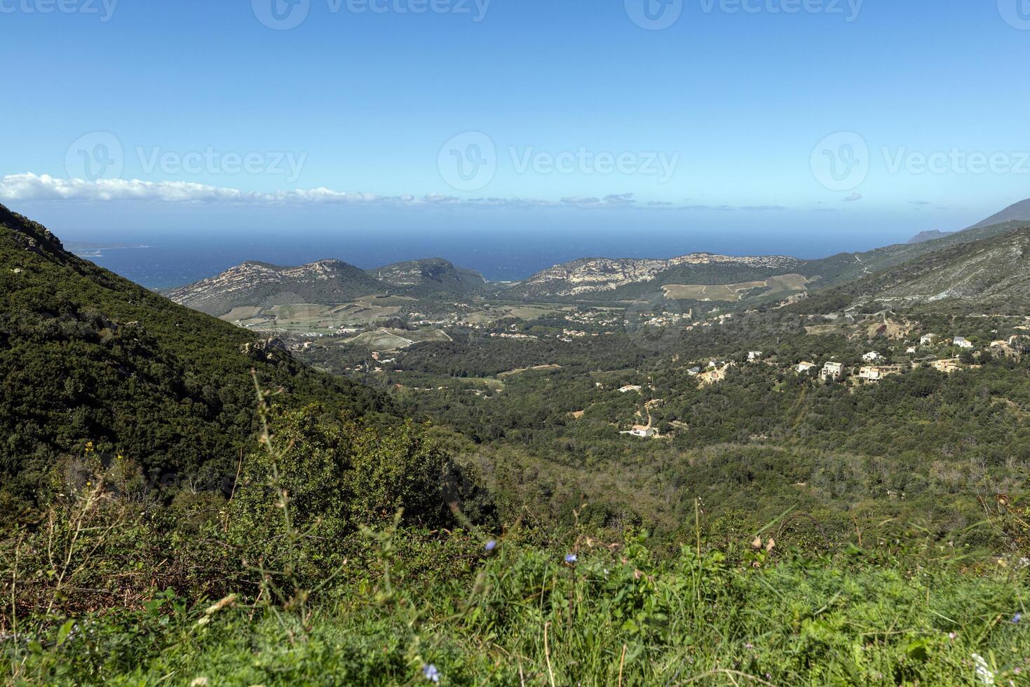 Panoramic view of Corsicas eastern coastline captured from the mountainous inland with lush greenery photo