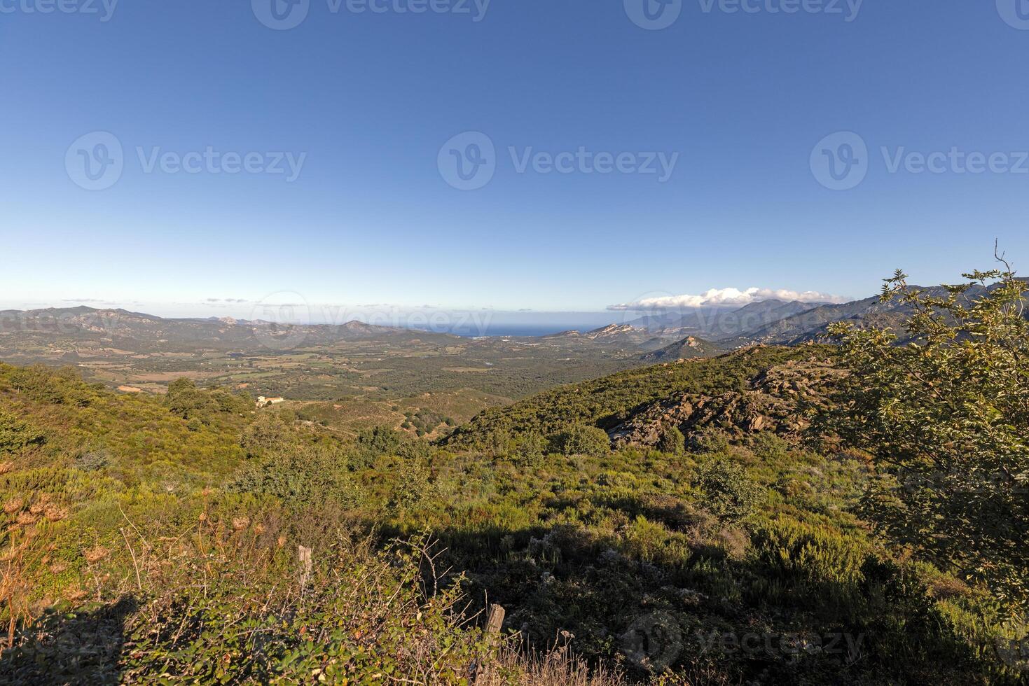 Panoramic view of Corsicas eastern coastline captured from the mountainous inland with lush greenery photo