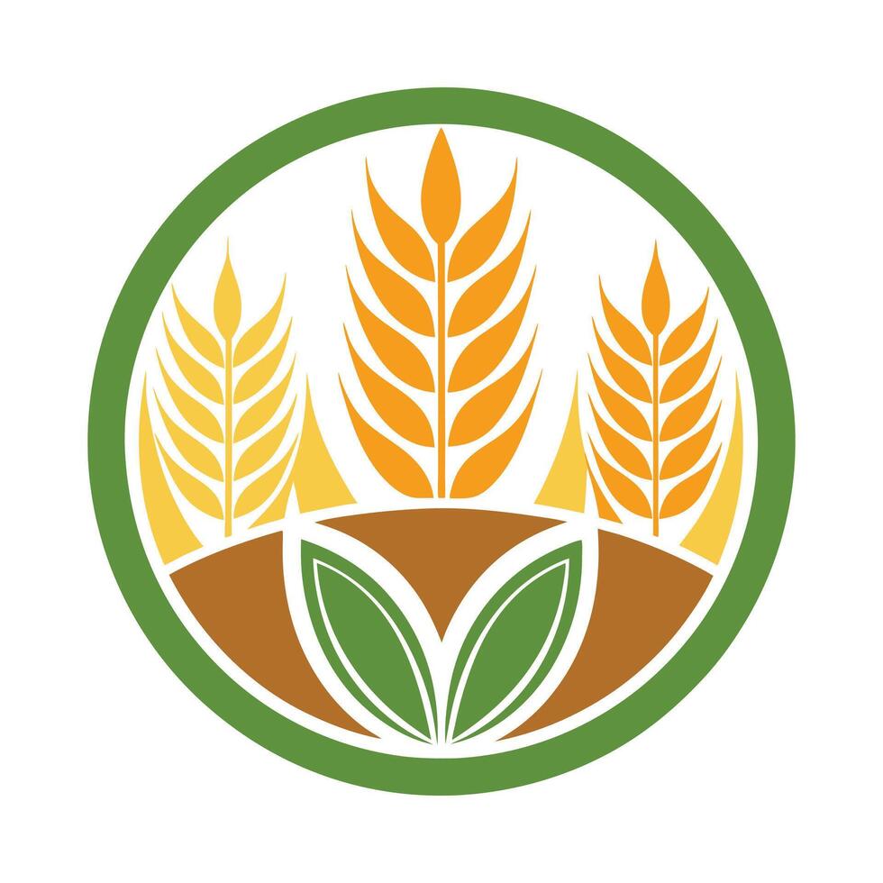 Hand drawn wheat collection vector