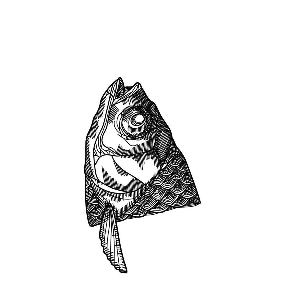 Fish head sketch drawing artwork handmade illustration vector