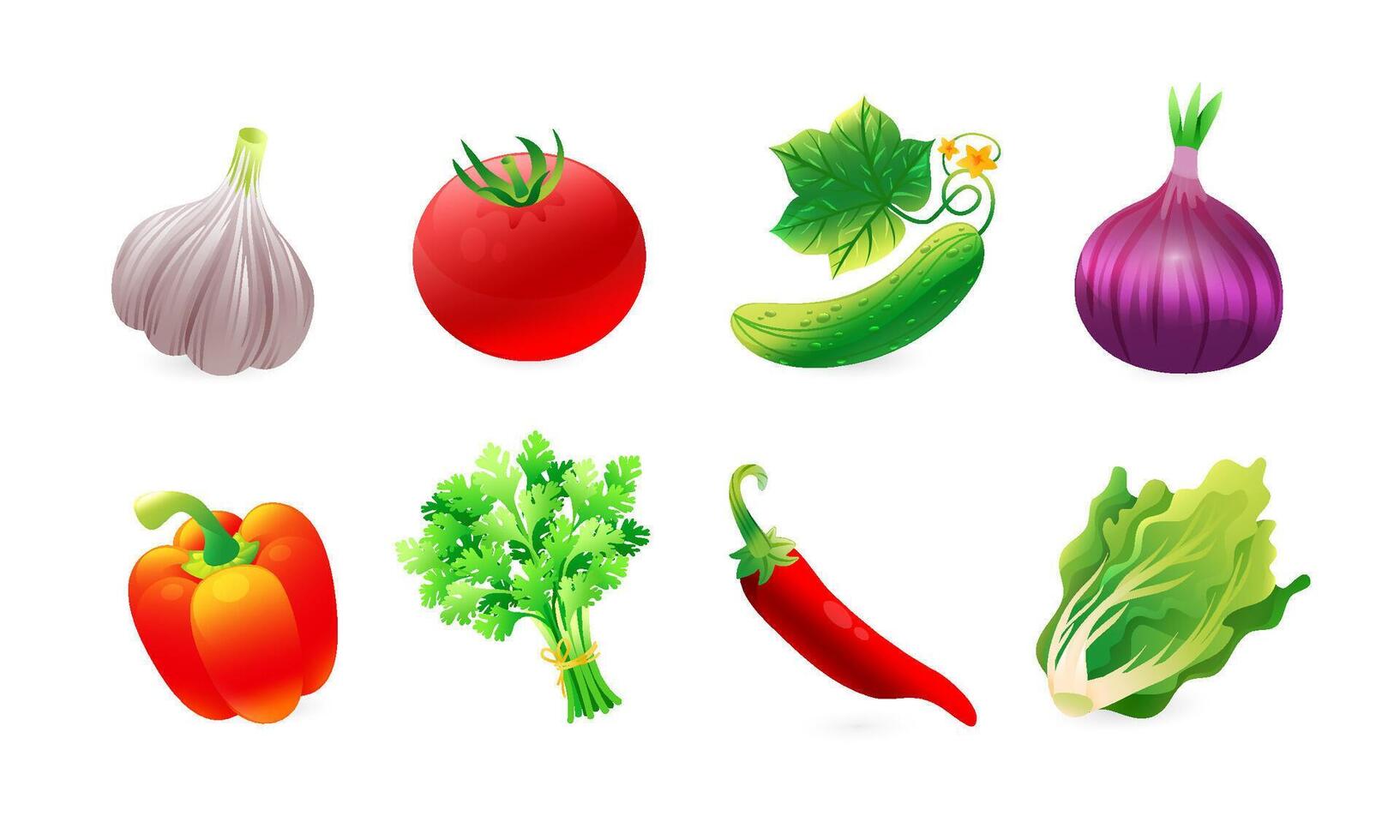 Set of images of vegetables for different salads. Tomato, cucumber, garlic, onion, paprika, chili pepper, parsley, lettuce leaves. vector