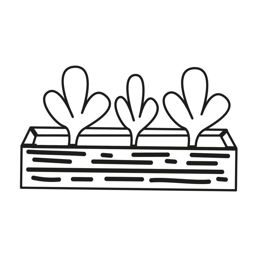 Seedlings, grass outline isolated on a white background vector