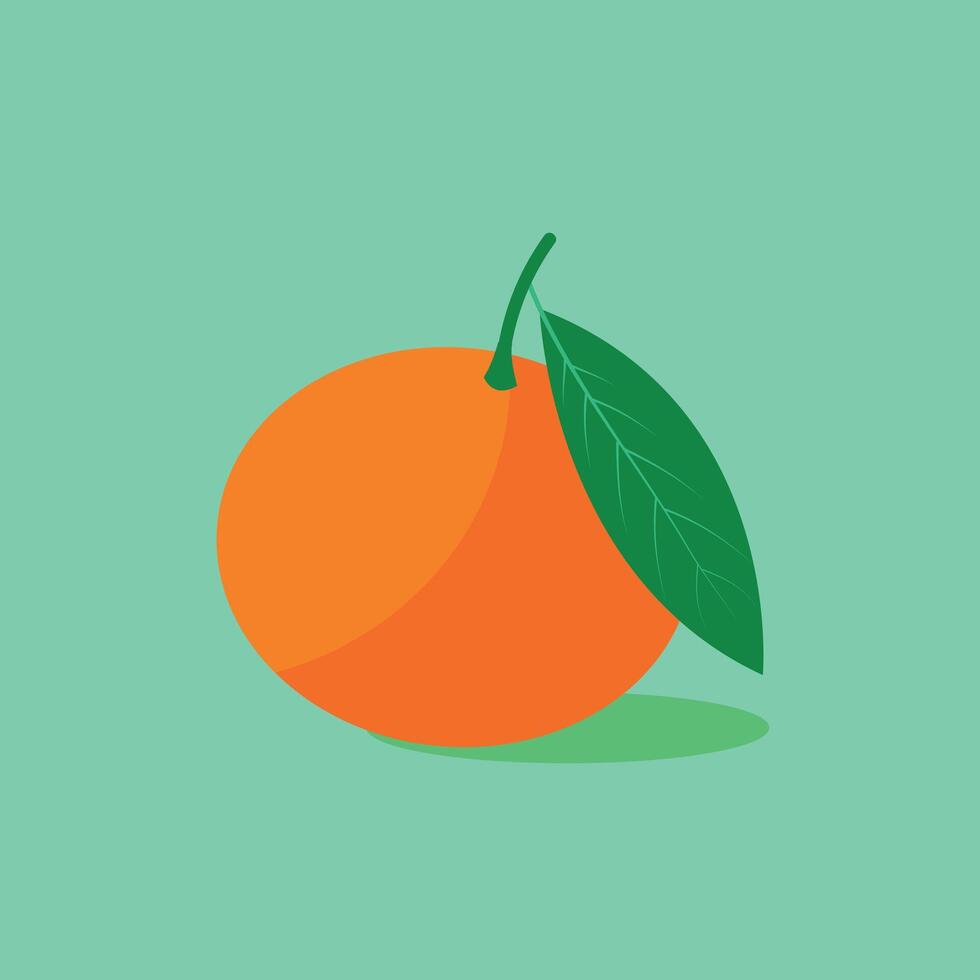 Fresh whole Tangerine in colored flat style. Fresh whole Tangerine in colored flat style. Mandarin fruit with green leave isolated on green background. Clementine orchard plant. Juicy natural vector