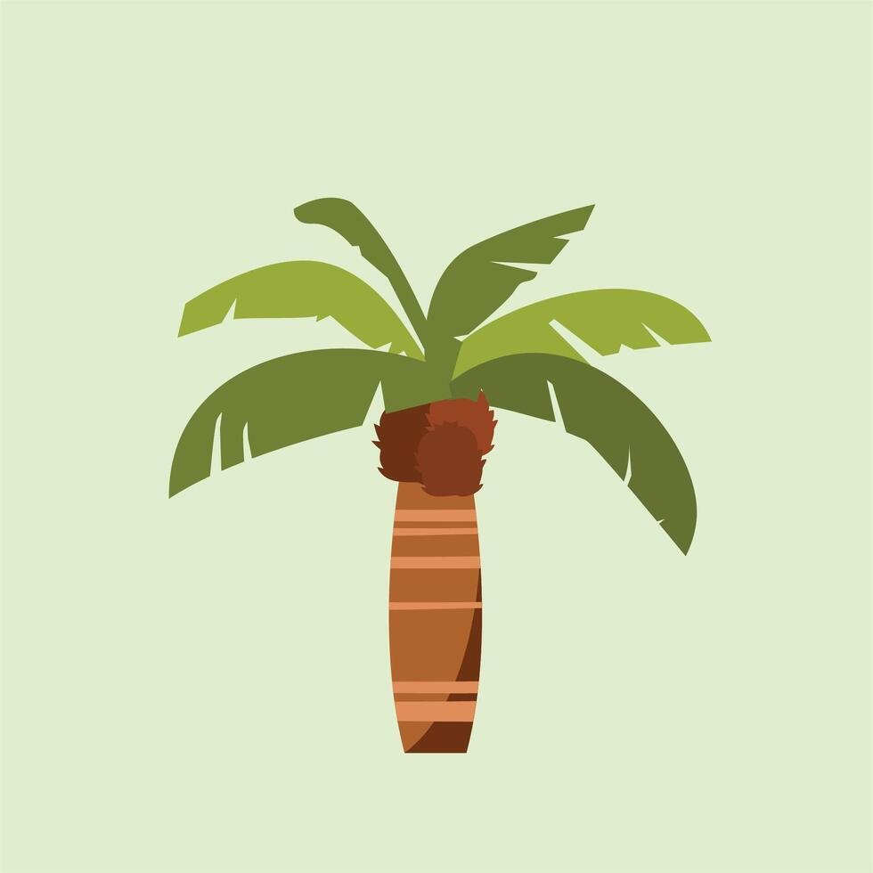 palm plant, houseplant illustration for panorama in flat style vector