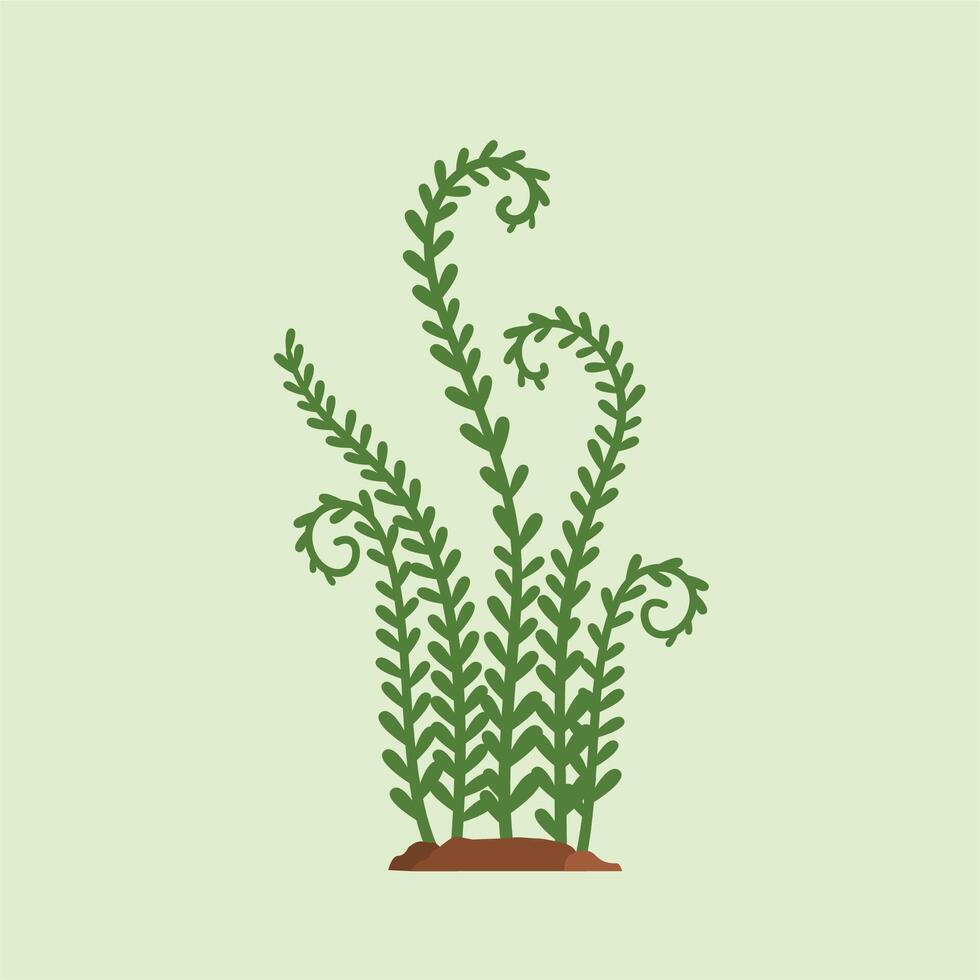 prehistoric creeping fern isolated. dinosaur food, illustration Exotic plants collection. vector