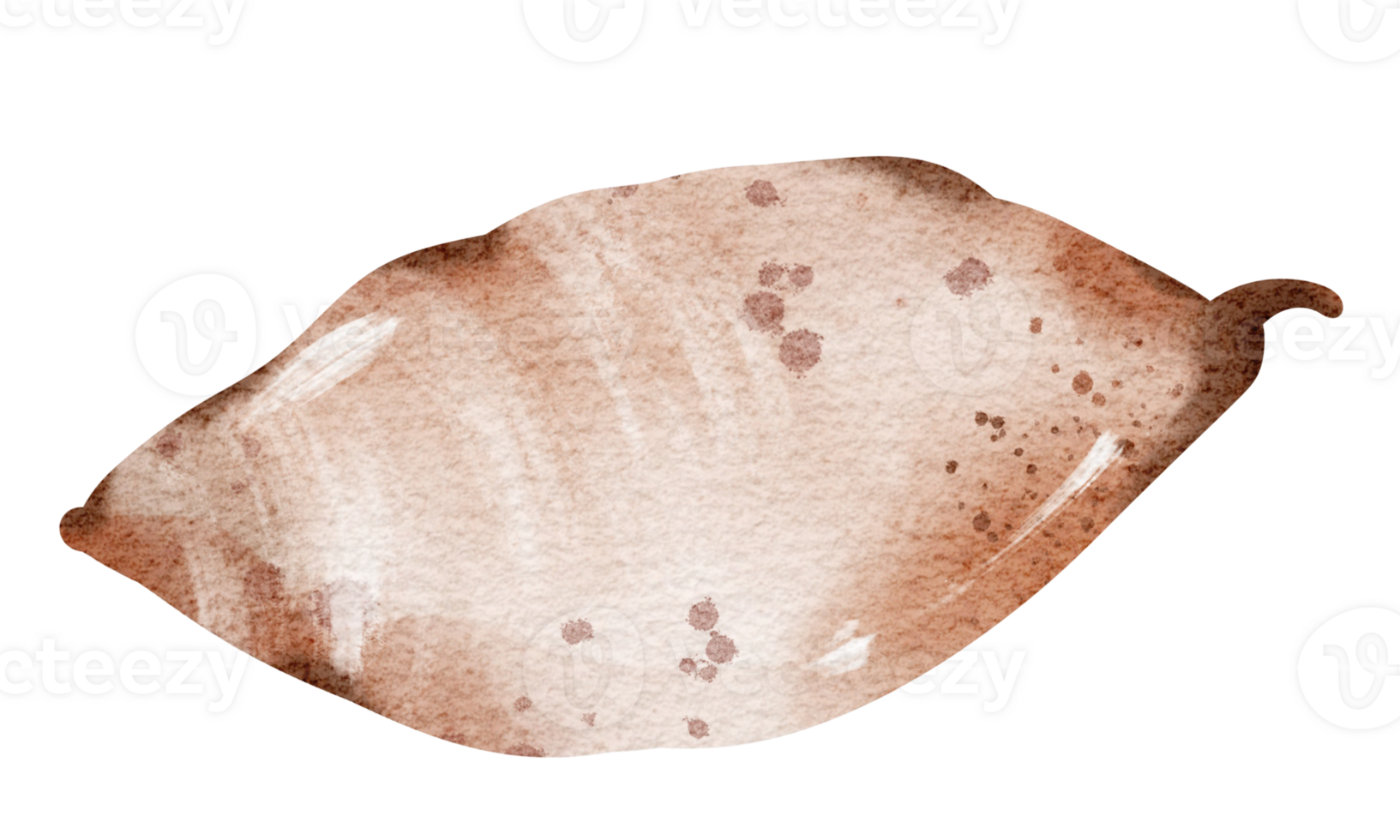 Watercolor drawing sweet potato, potato close up on isolated background. Hand drawn vegetable Element for design Flyers, pamphlets, Posters, Product Packaging. png