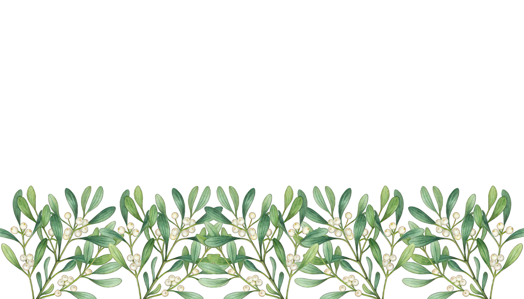 Olive branch border with leaves and berries png