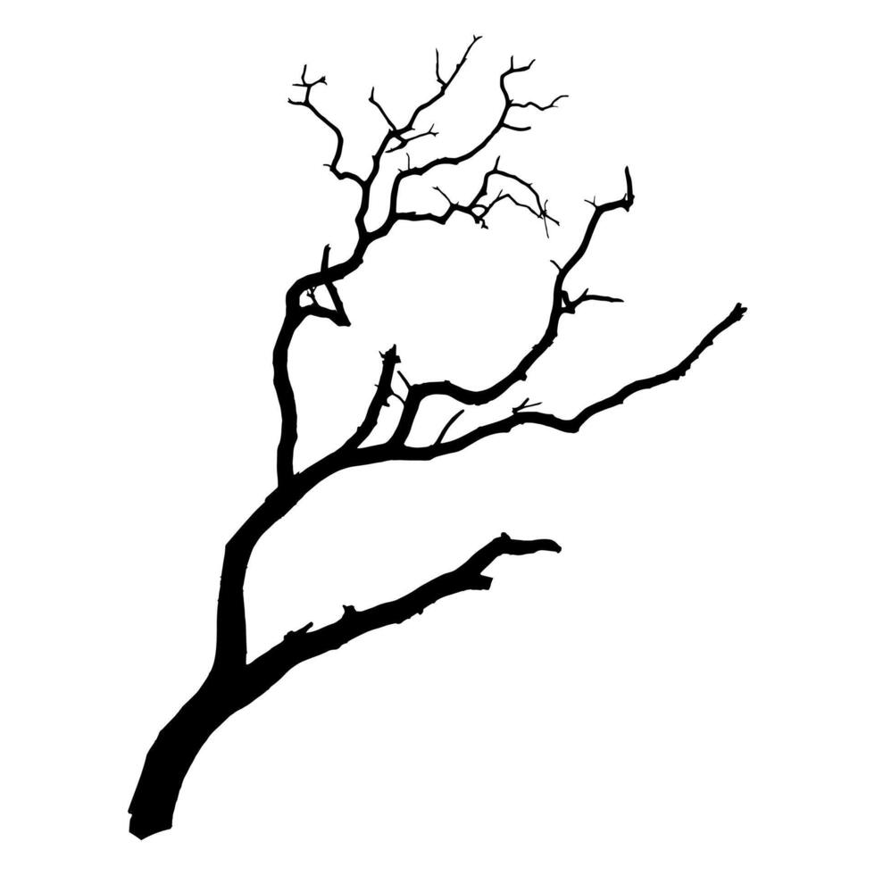 Simple Leafless Tree Branch Silhouette for Nature Inspired Art and Design Projects vector