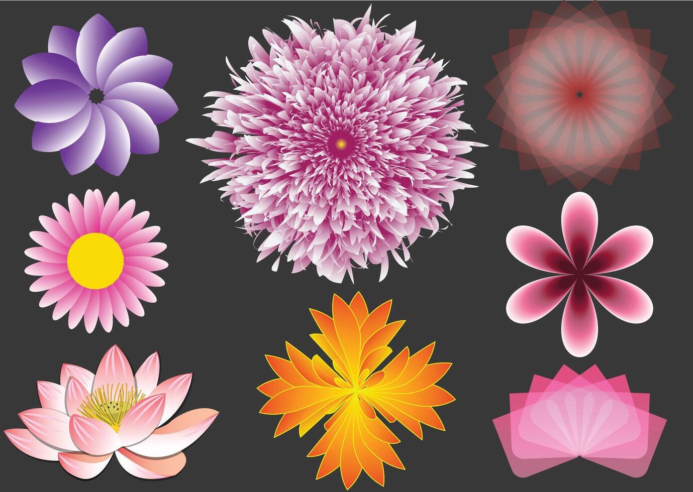 Different flower illustrations vector