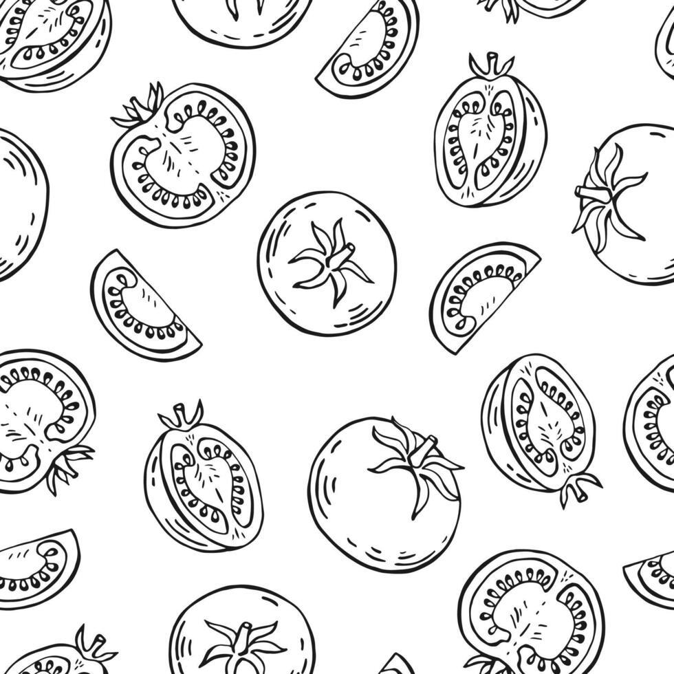 Seamless pattern with tomato. Hand drawn illustration. vector