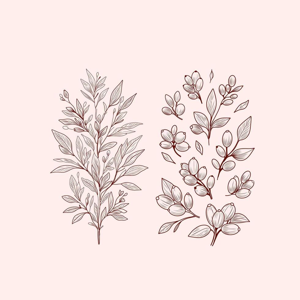 Botanical illustration. Elegant line art illustration of botanical branches with goji berries and leaves. For invitation save the date card, nature designs and decorative art. Set of berries. vector