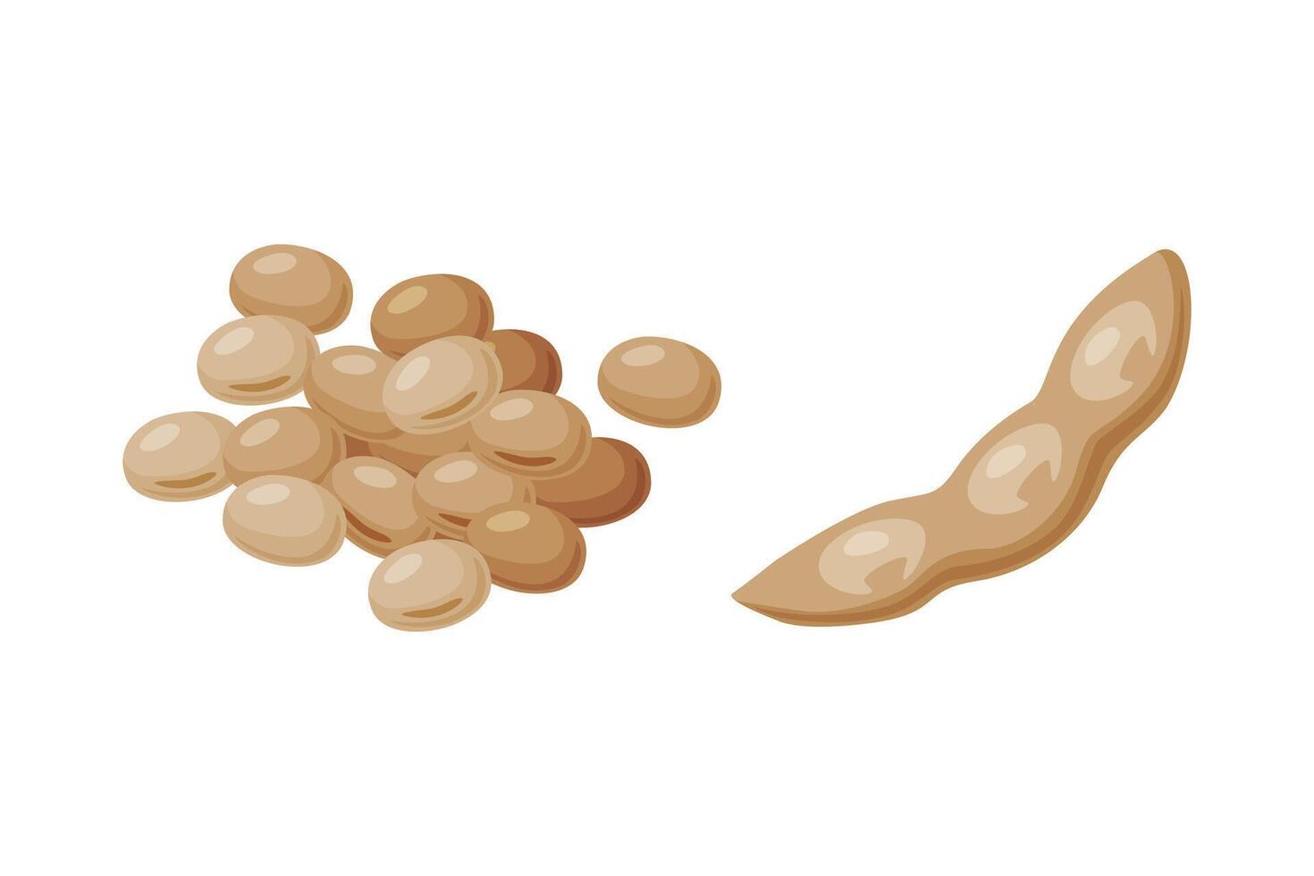 Soy Bean Pile and Dry Pod as Natural and Organic Product of Soybean Plant Set vector