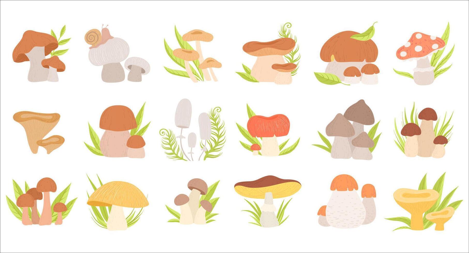 Mushrooms with Green Leaves Growing in Woodland as Seasonal Botany Set vector