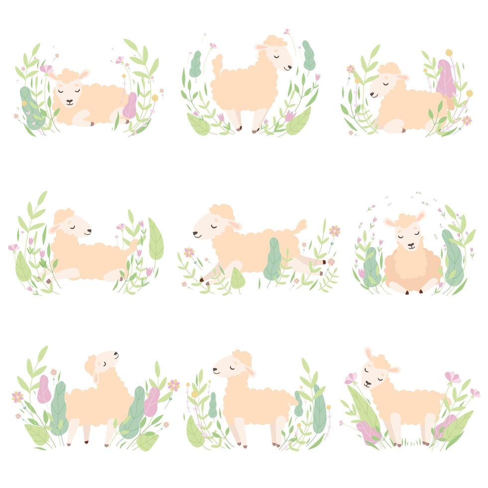 Collection of Adorable Little Lambs on Beautiful Spring Meadow, Cute Sheeps in Different Poses Illustration vector