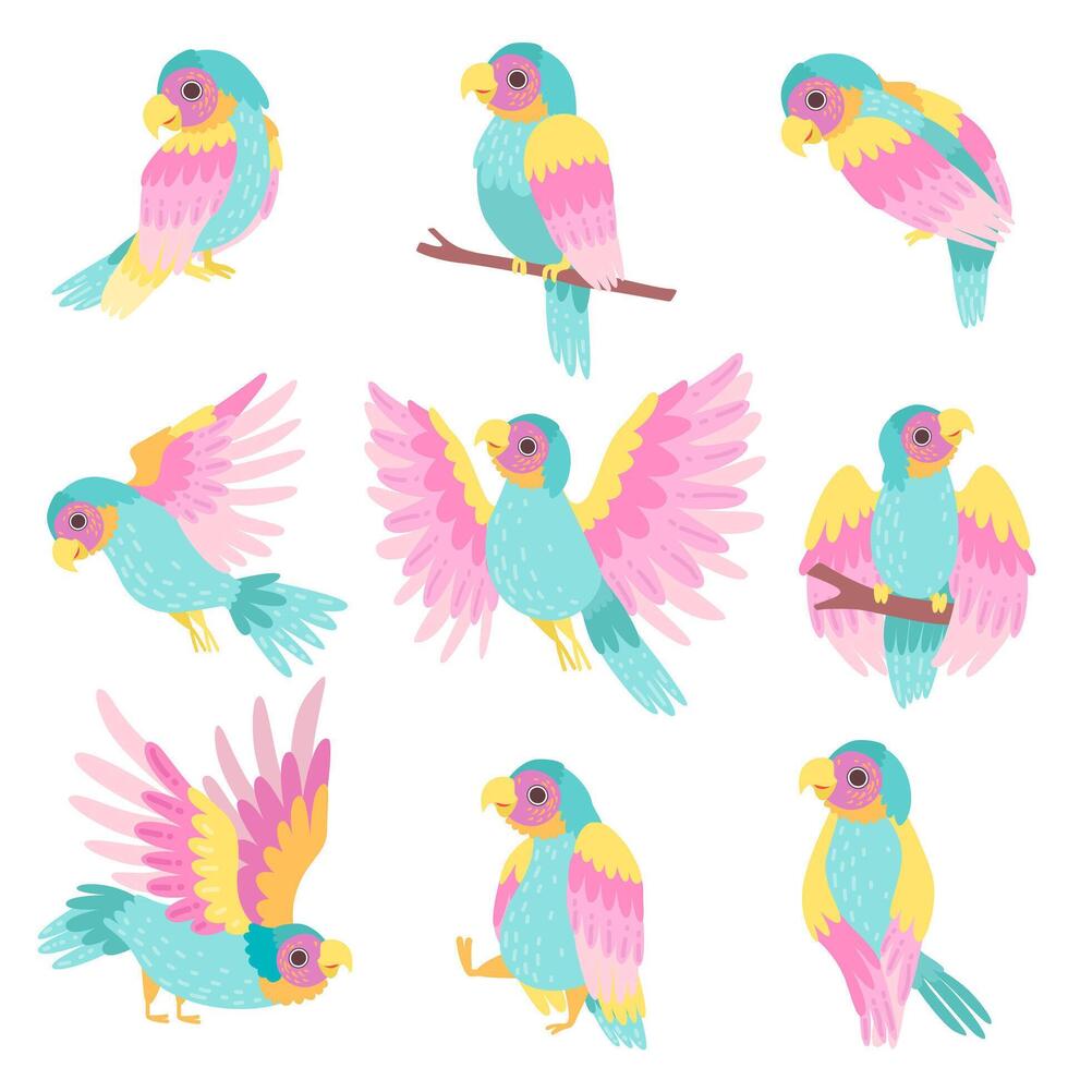 Collection of Tropical Parrots in Different Poses Illustration vector